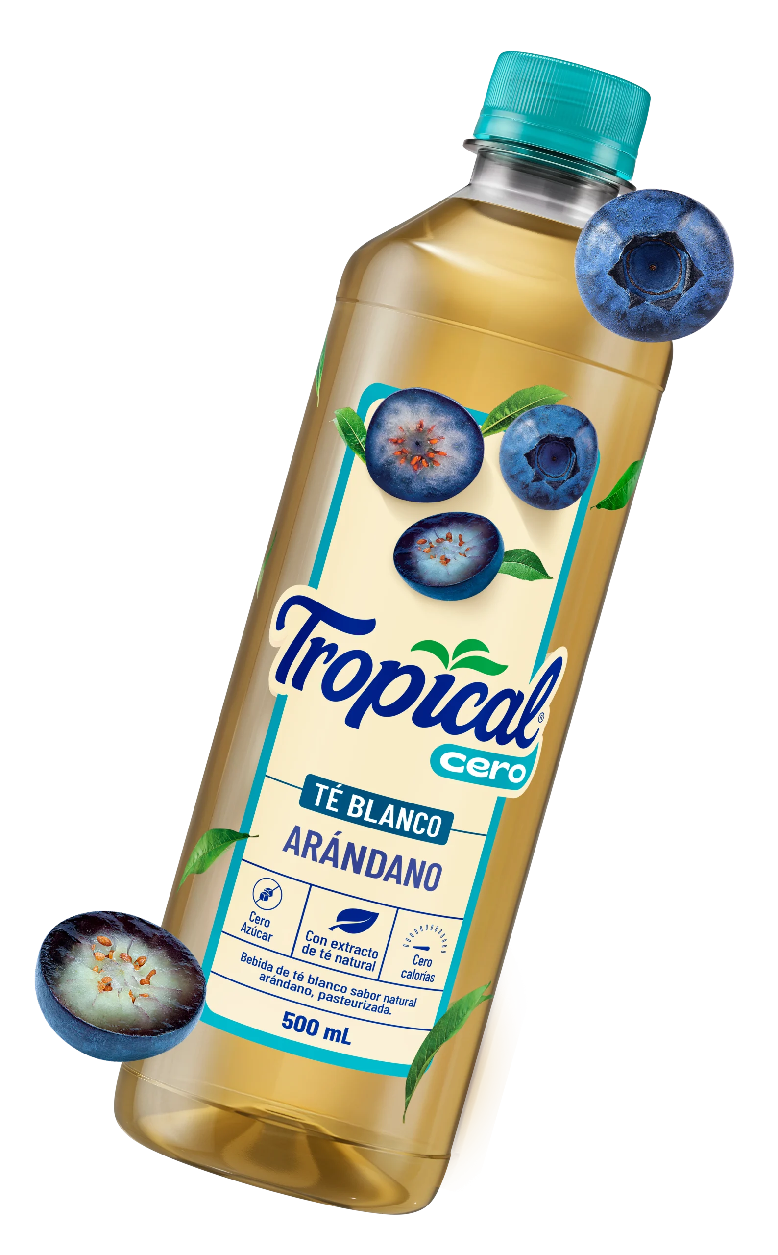 TE DE ARANDANOS
